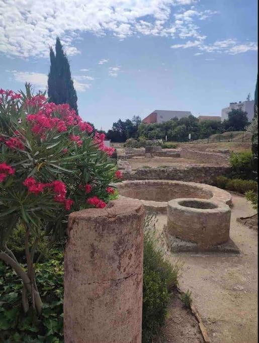 Soleil Sucre T2 Centre Historique De Narbonne Διαμέρισμα Εξωτερικό φωτογραφία