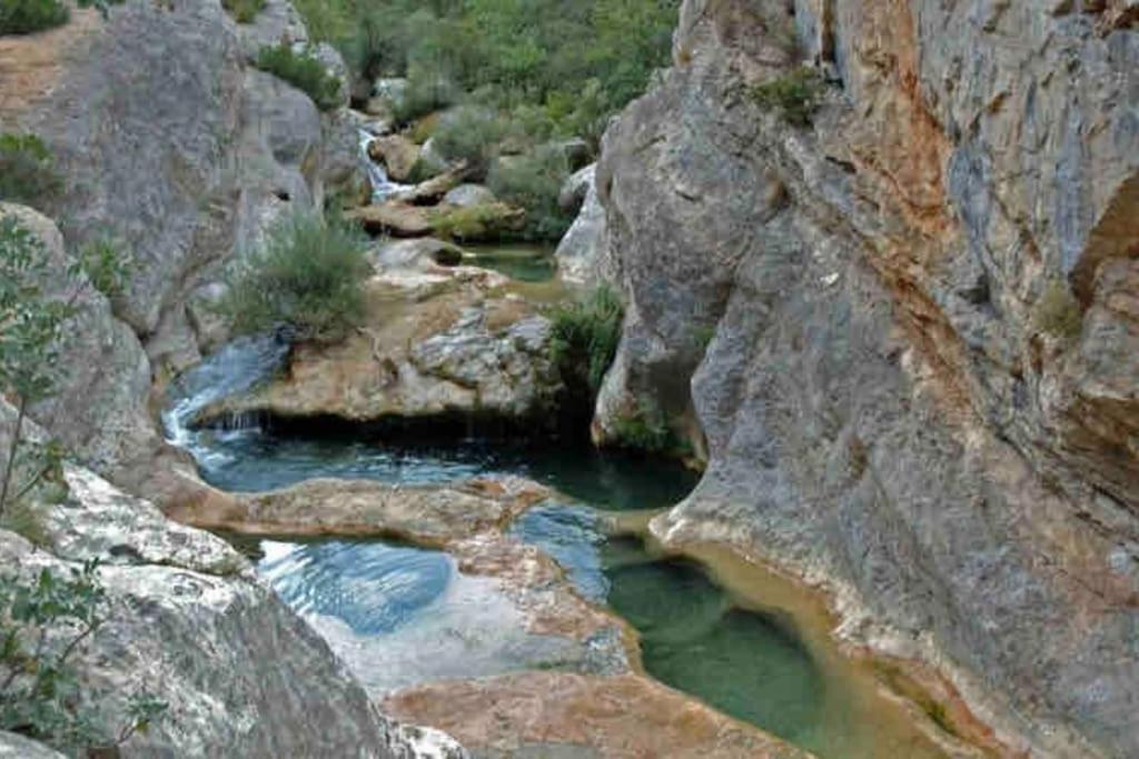 Soleil Sucre T2 Centre Historique De Narbonne Διαμέρισμα Εξωτερικό φωτογραφία