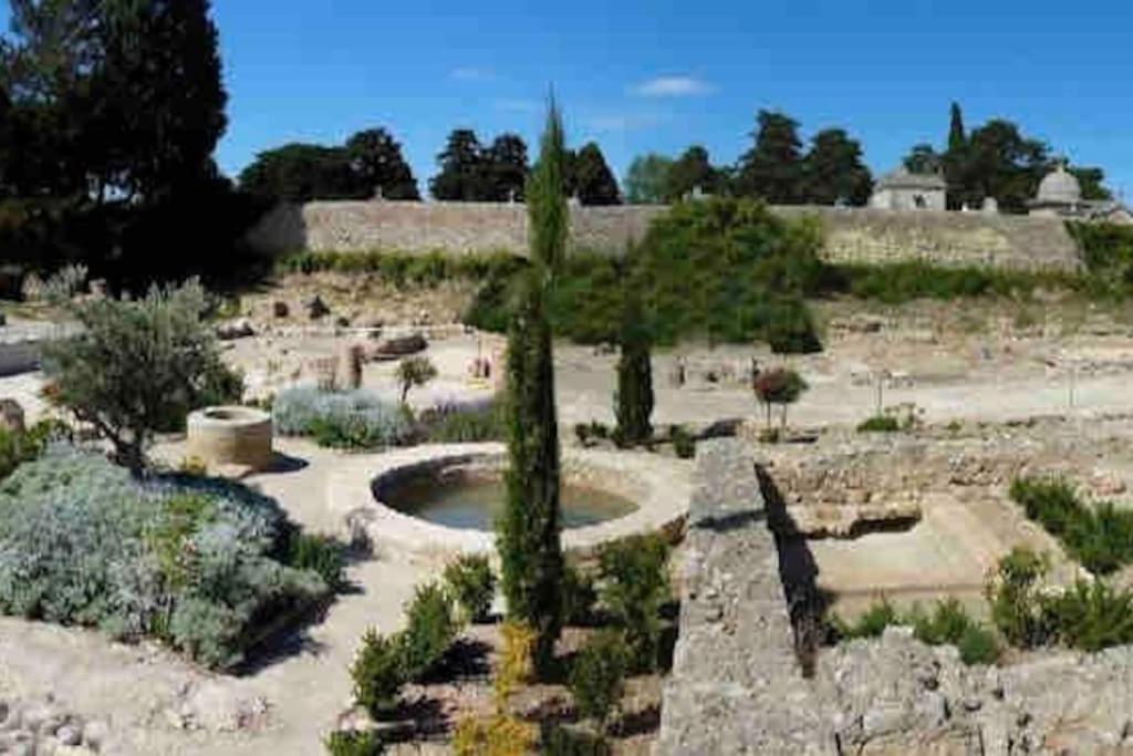 Soleil Sucre T2 Centre Historique De Narbonne Διαμέρισμα Εξωτερικό φωτογραφία