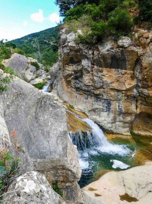 Soleil Sucre T2 Centre Historique De Narbonne Διαμέρισμα Εξωτερικό φωτογραφία