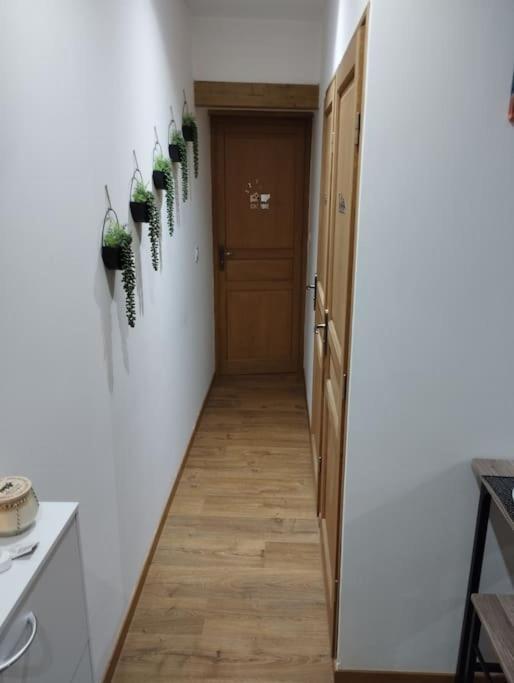 Soleil Sucre T2 Centre Historique De Narbonne Διαμέρισμα Εξωτερικό φωτογραφία